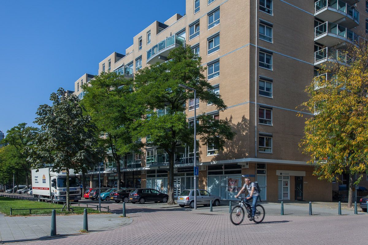 Groenendaal Photo Blur 0