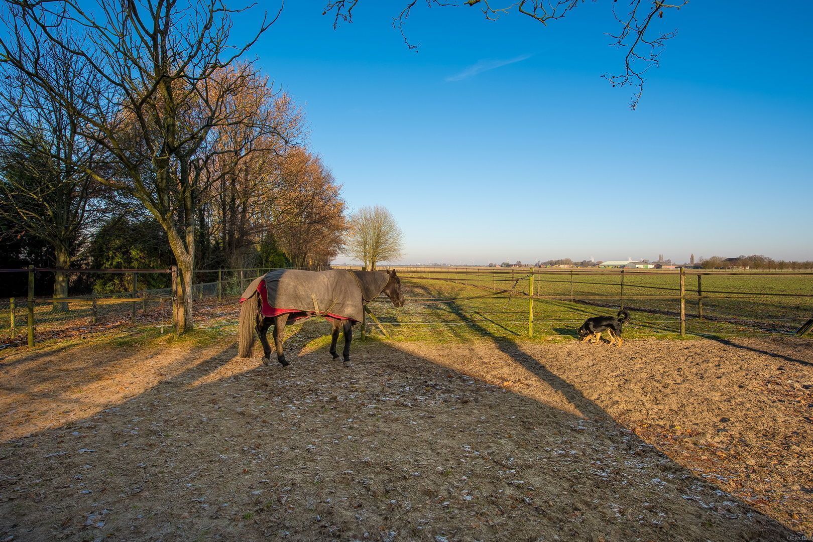 Eerste Boutweg 19, Kruisland foto-40