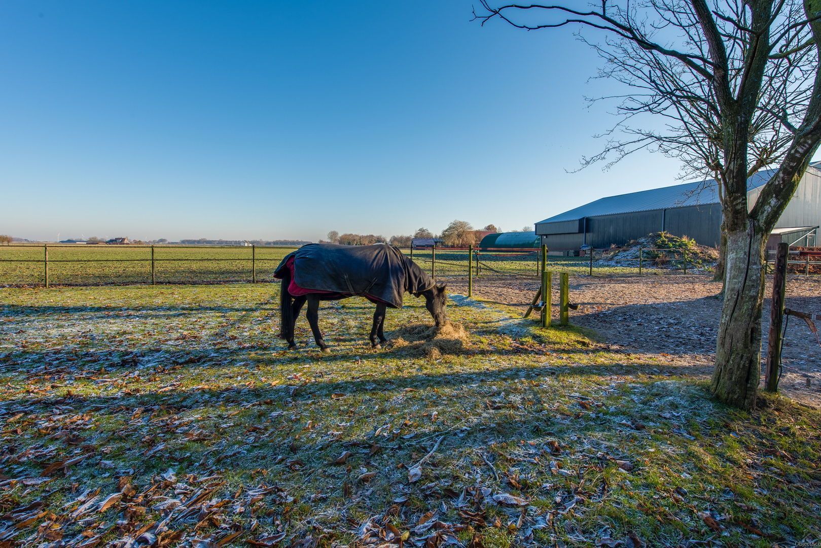 Eerste Boutweg 19, Kruisland foto-51