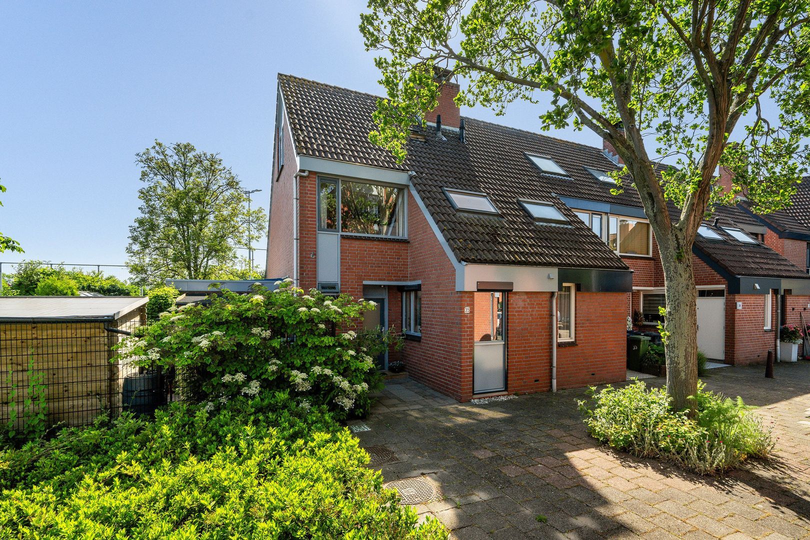 Leeuwerik, Kwintsheul foto-0