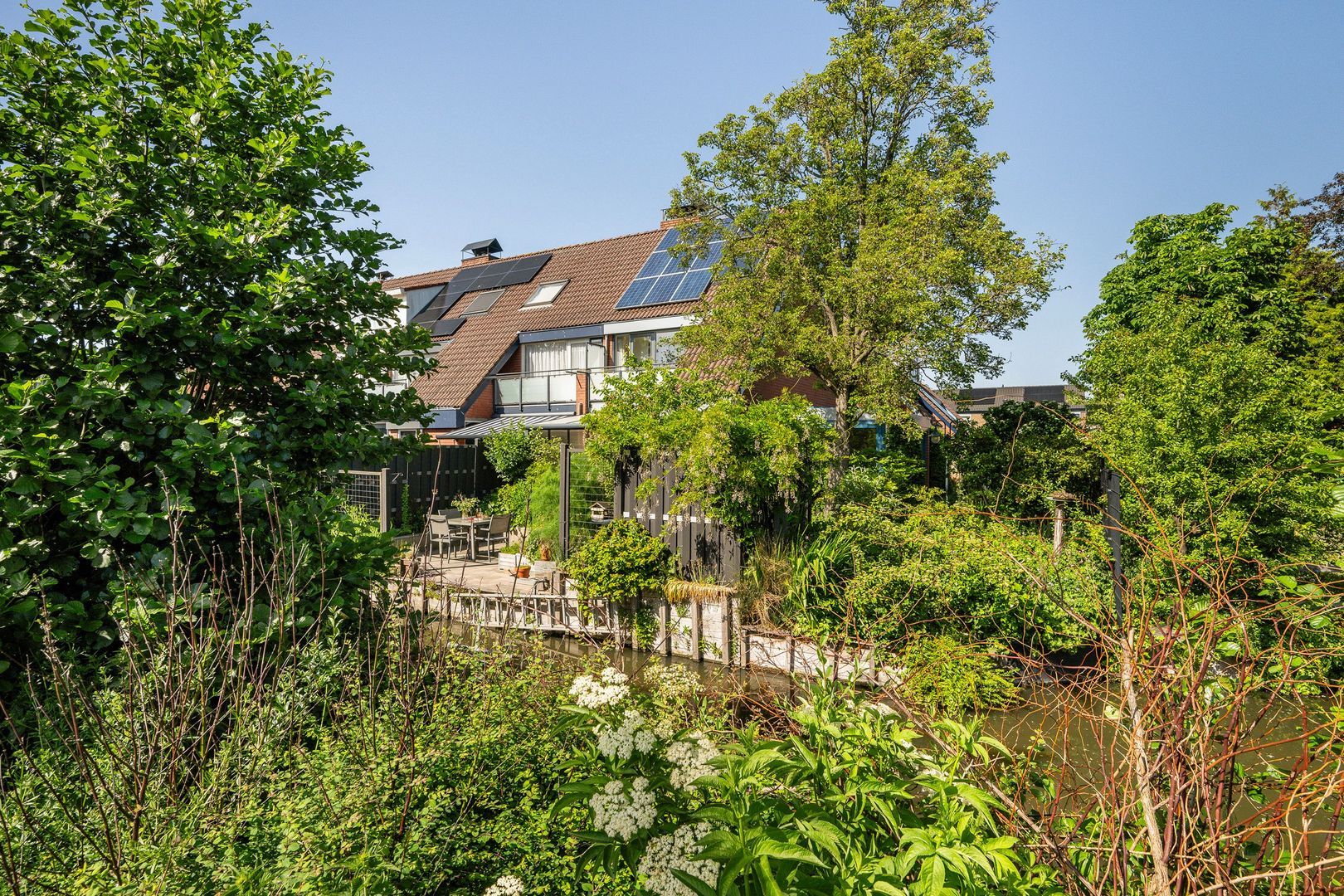 Leeuwerik, Kwintsheul foto-5