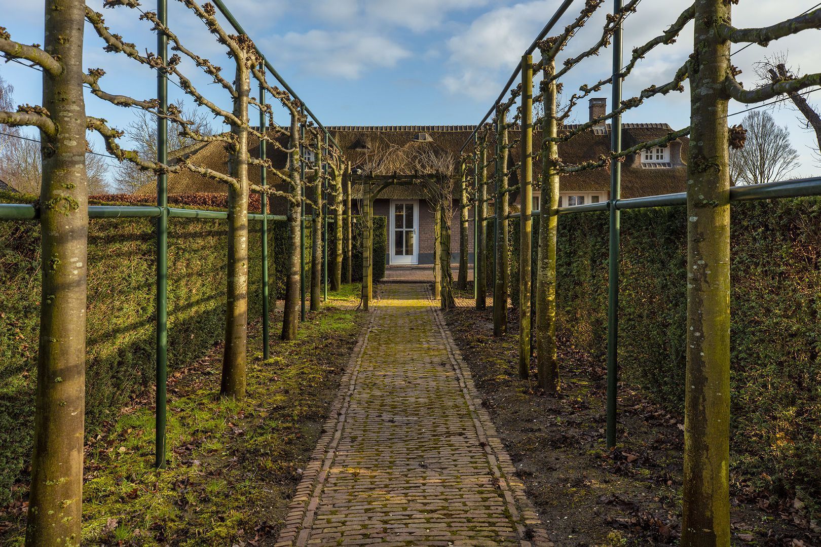 Peperstraat image 1