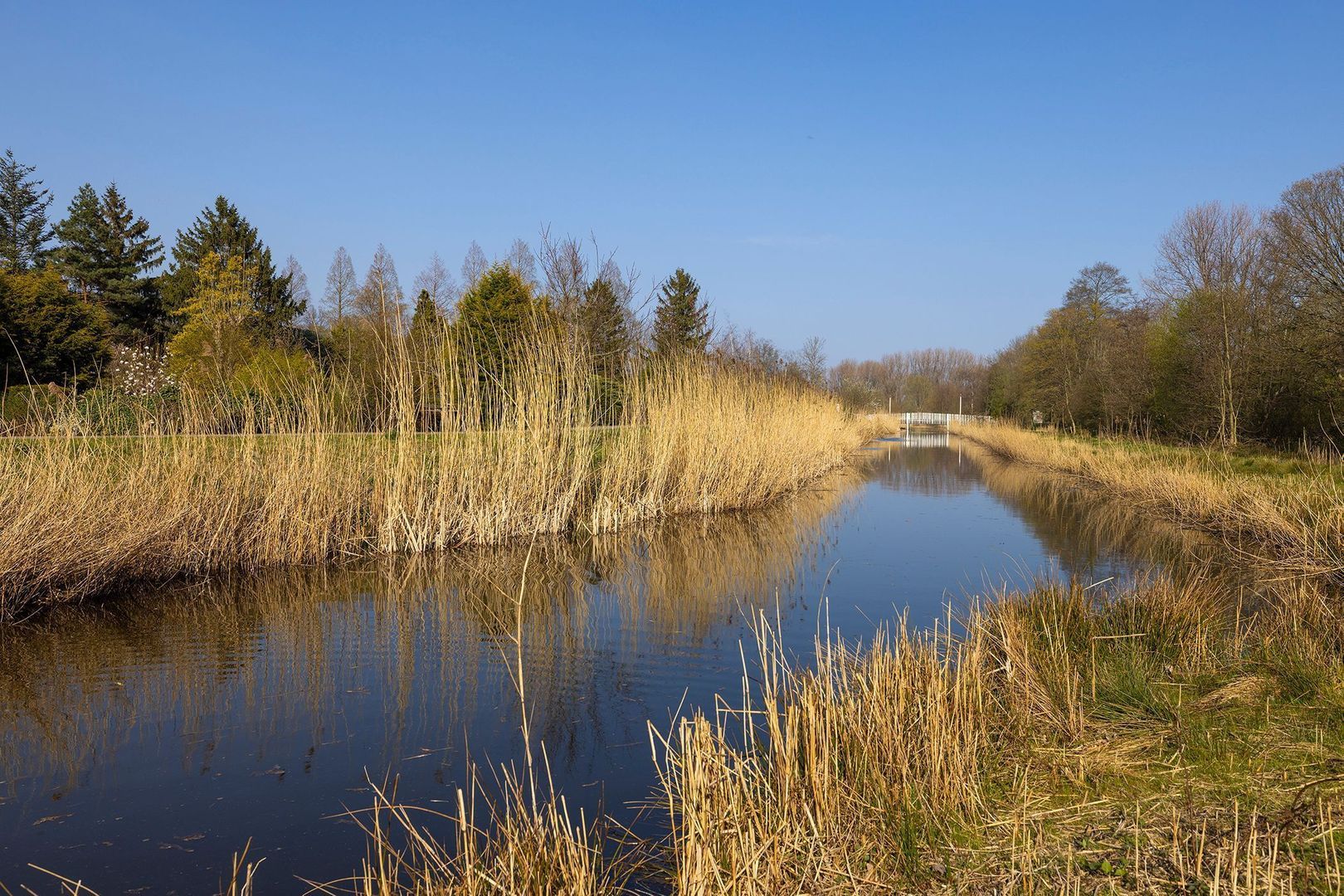 Overschiese Kleiweg 715 image 1