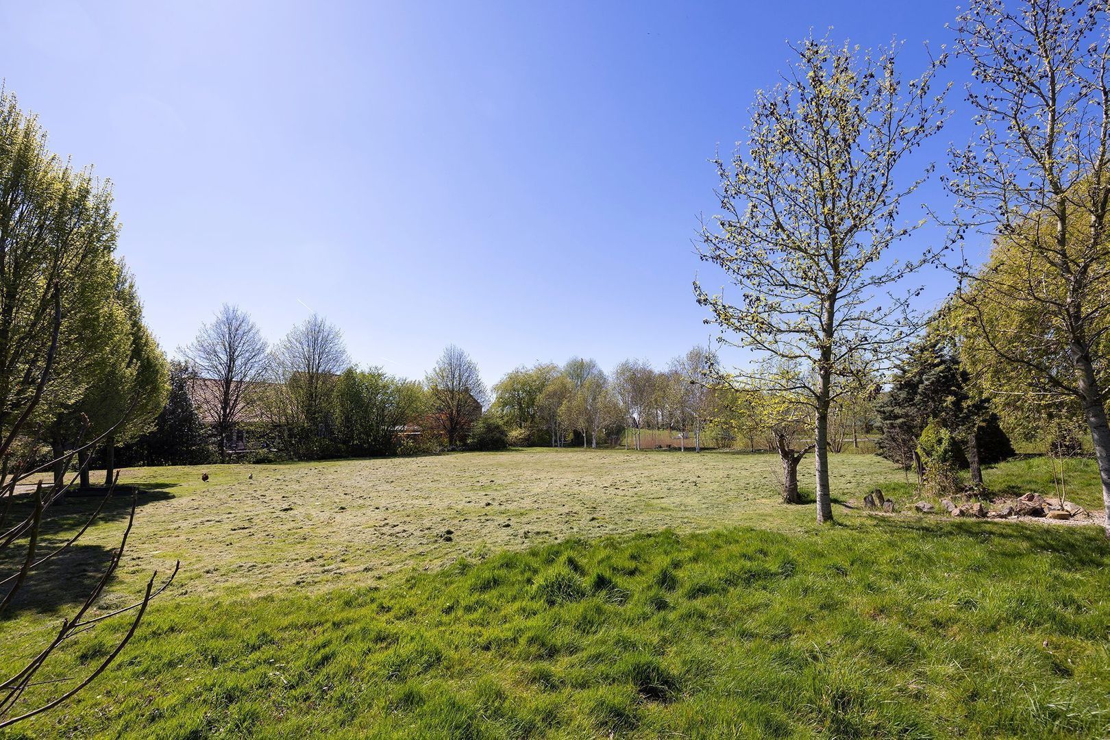 Carnisseweg 54 image 1