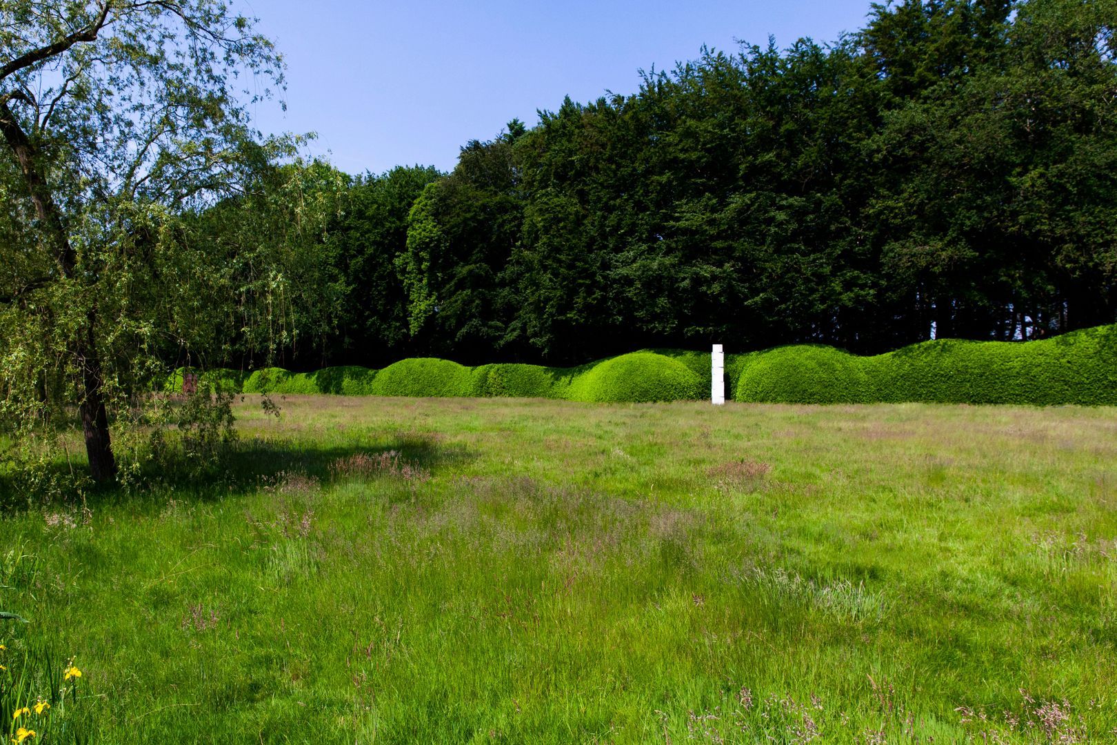 Meentweg image 1