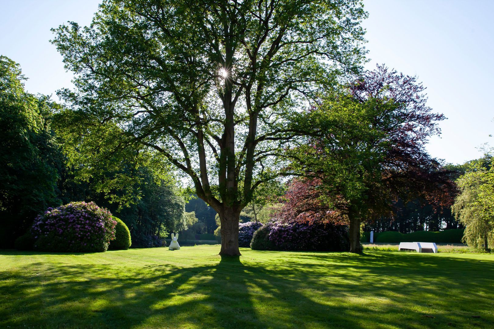 Meentweg image 1