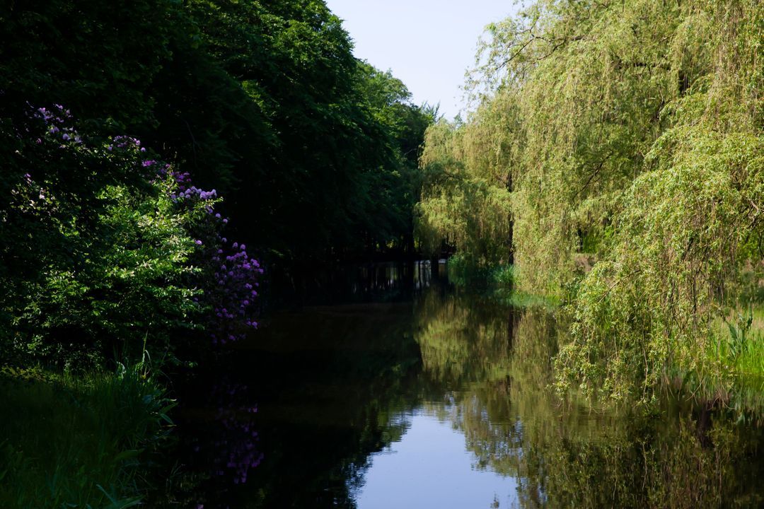 Meentweg image thumbs 1