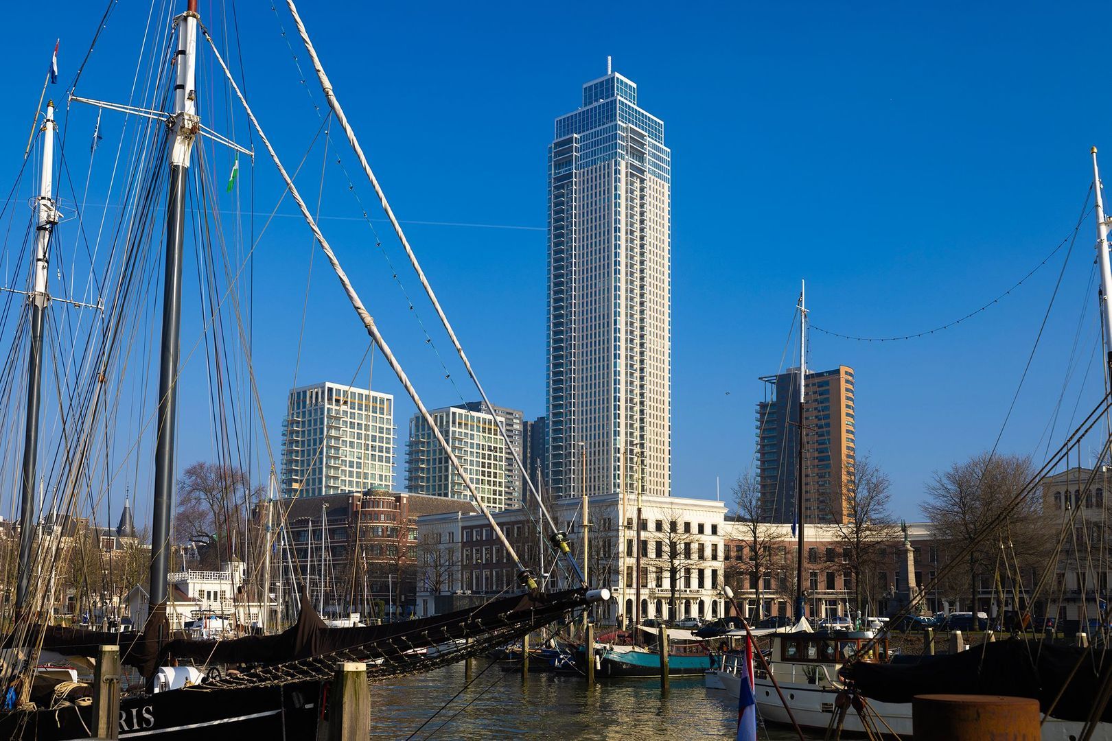 Houtlaan 493 image 1