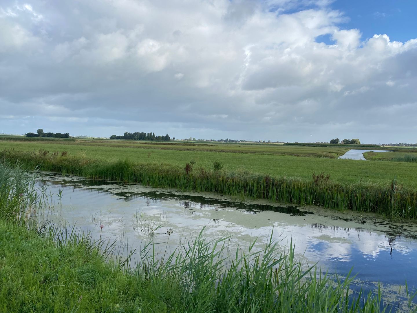 Rietlanden, Ter Aar foto-4