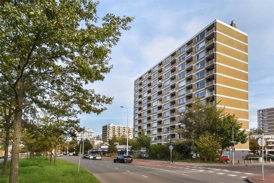 Teunisbloemplein 41 Den Haag