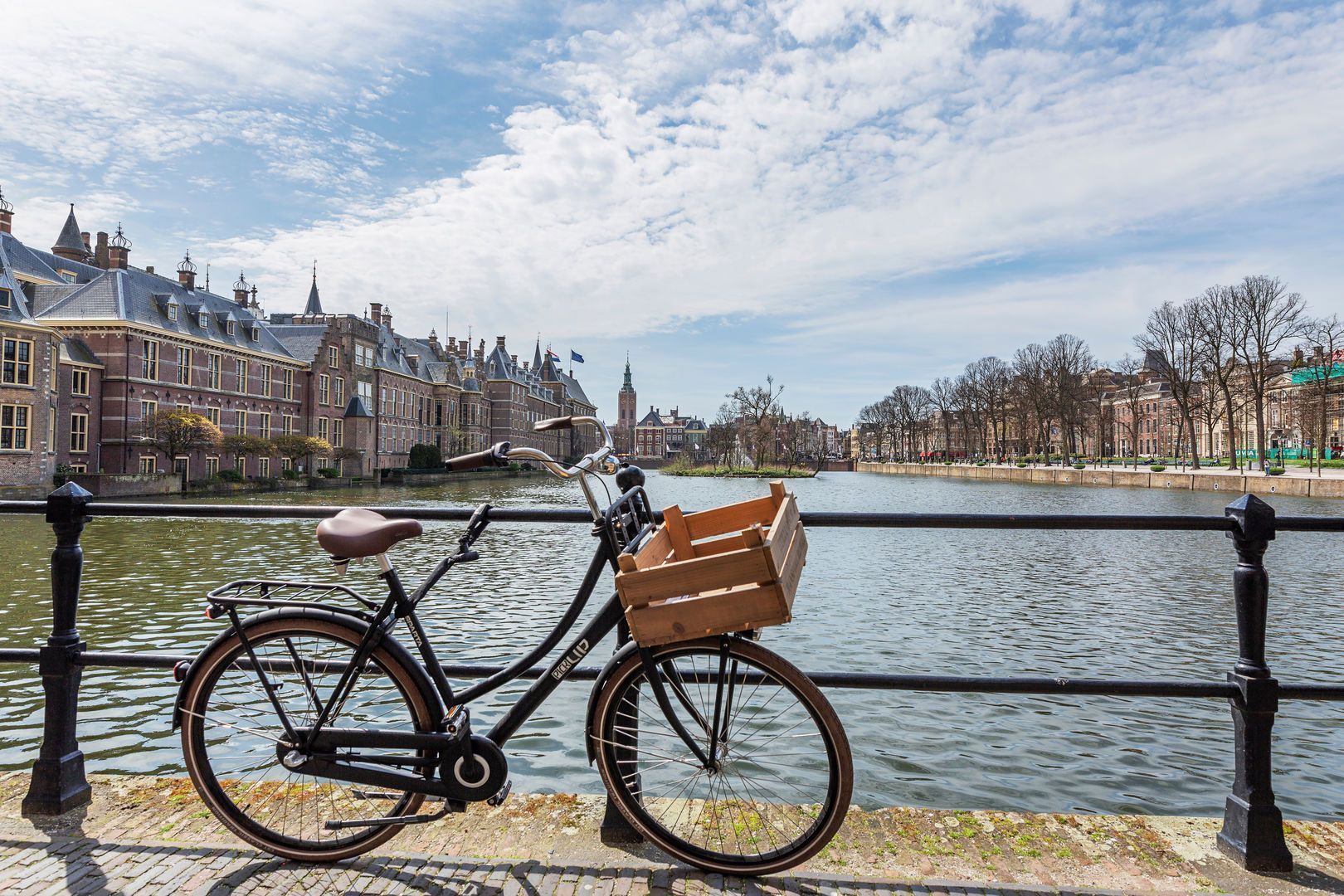 Sophialaan Den Haag photo-9