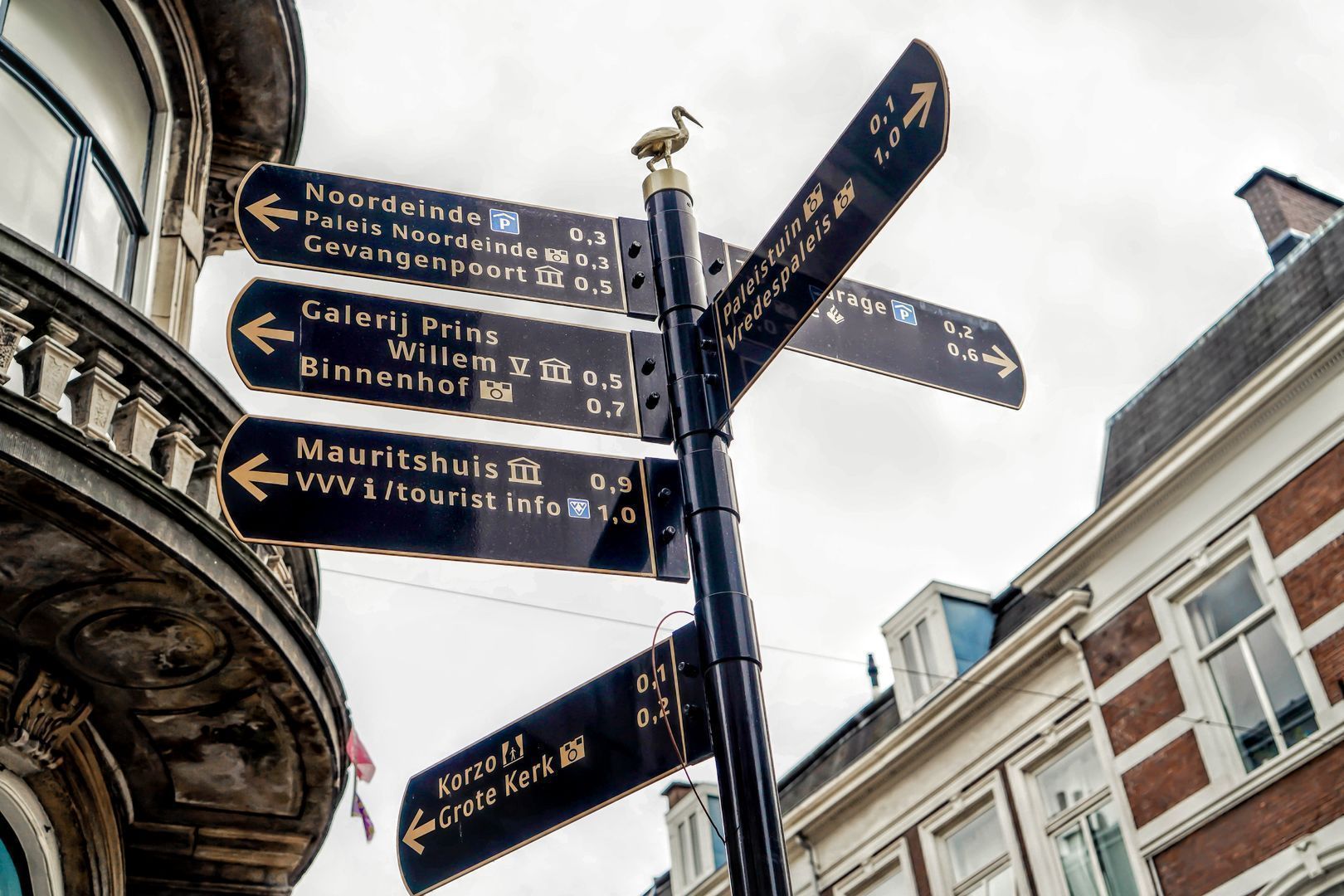 Sophialaan Den Haag photo-13