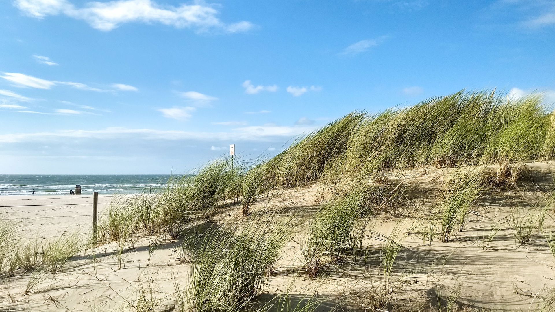 Hertog Filipslaan 5 Den Haag photo-5