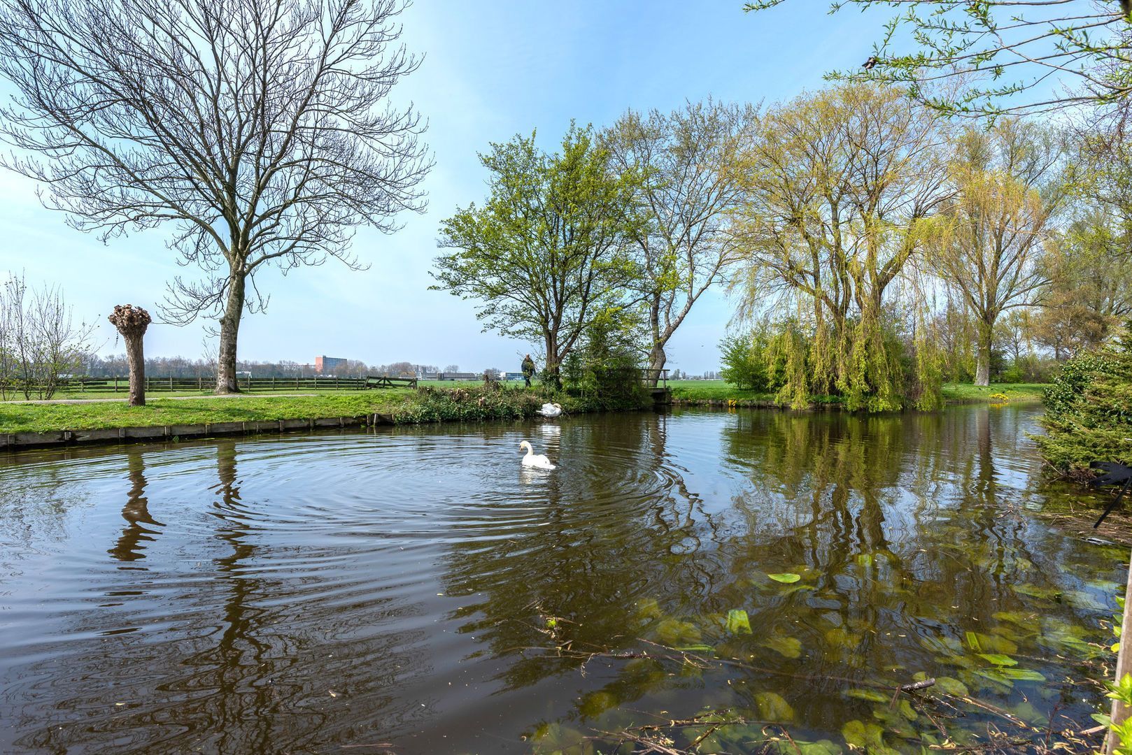 Meresteijn 3, Maasland foto-9
