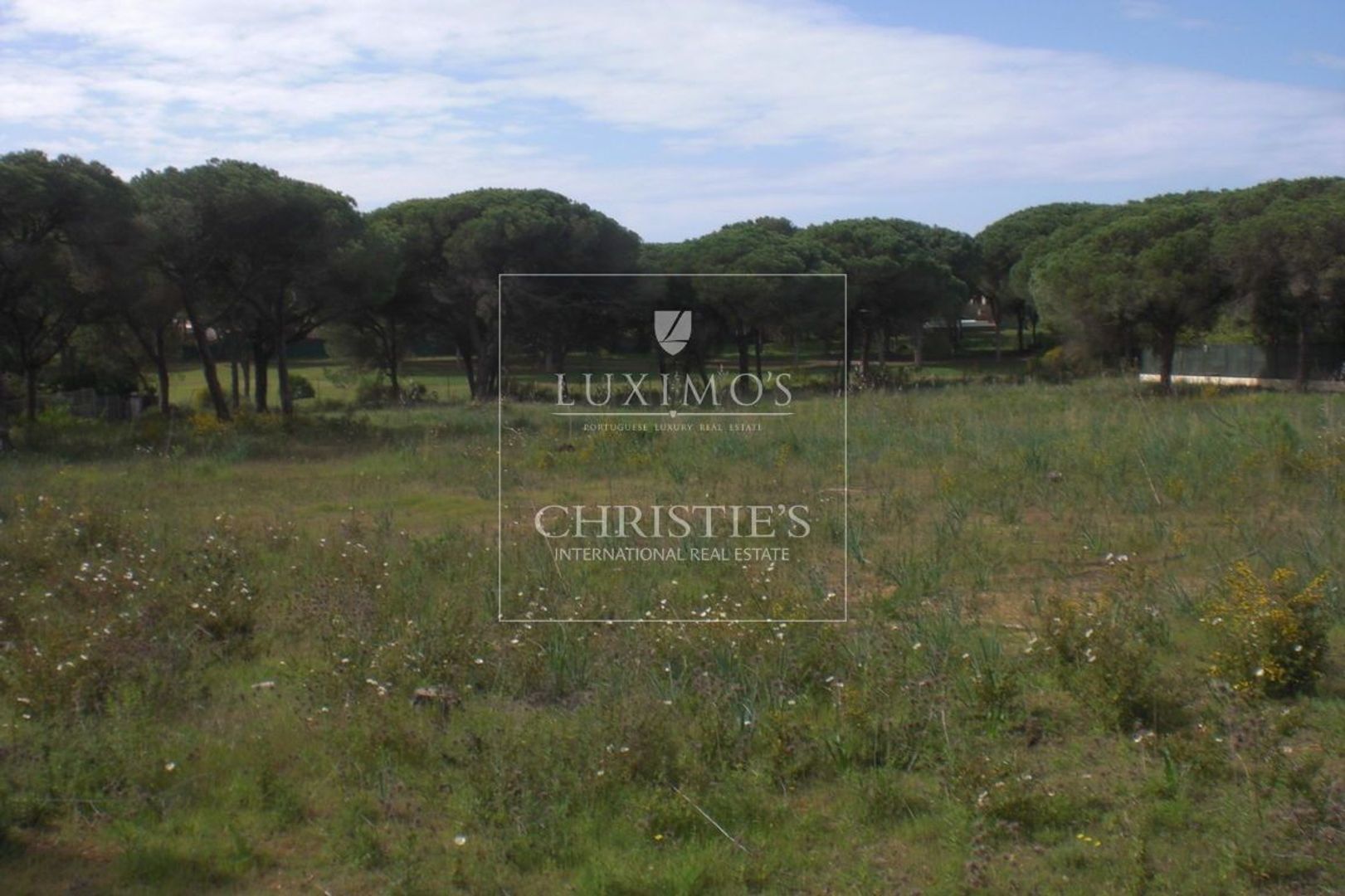 Vilamoura image 1
