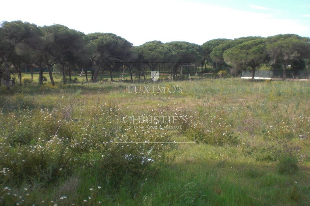 Vilamoura image thumbs 1