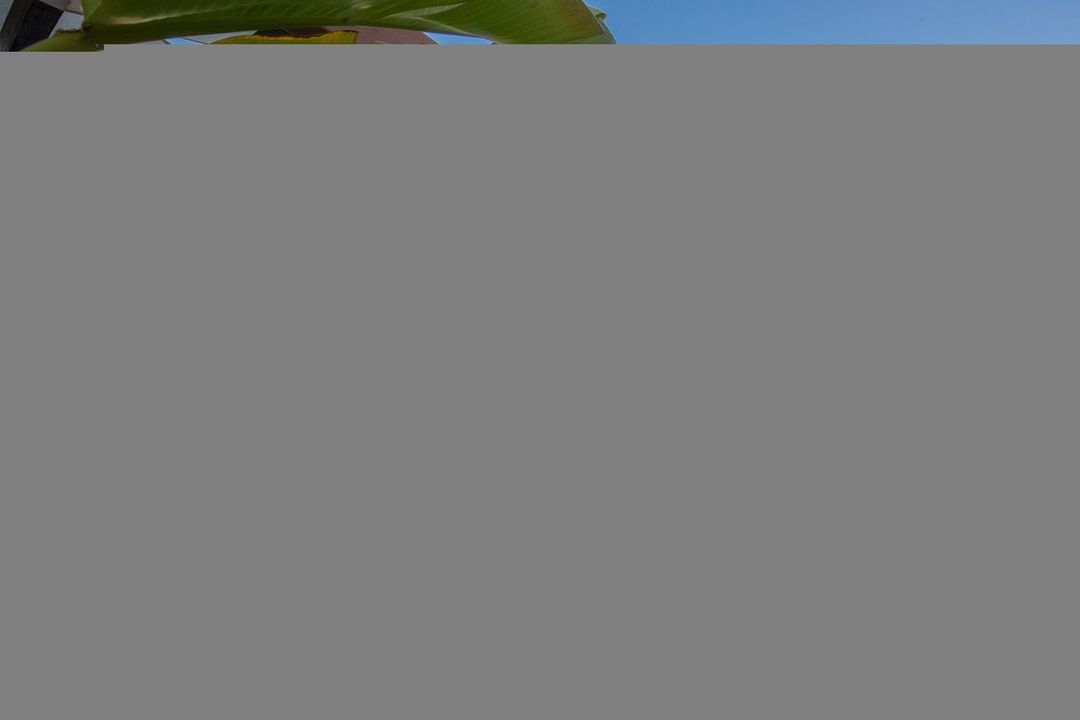 Vilamoura image thumbs 1