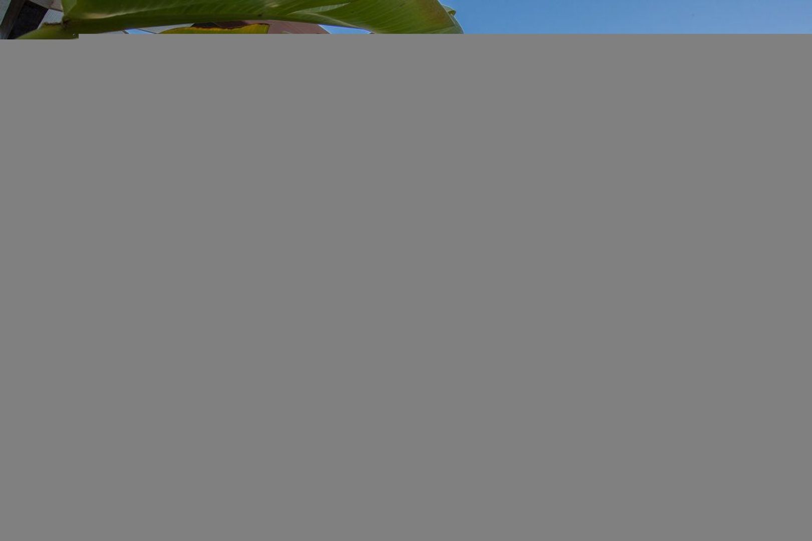 Vilamoura image 1