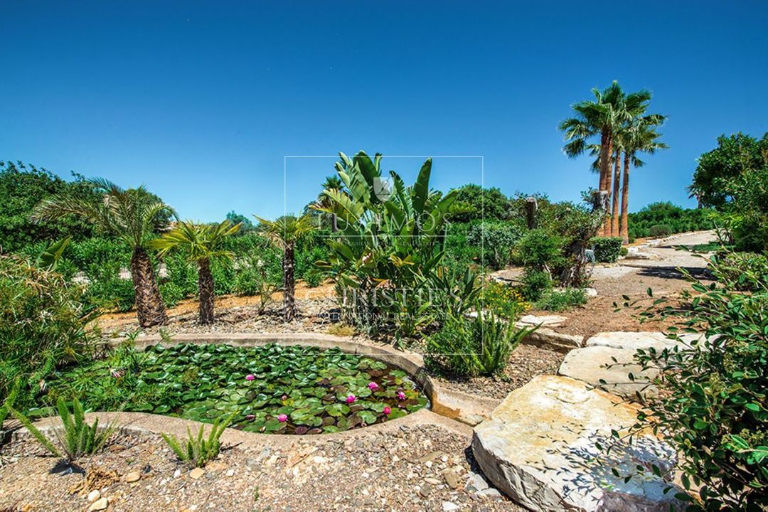 Santa Barbara de Nexe image thumbs 1