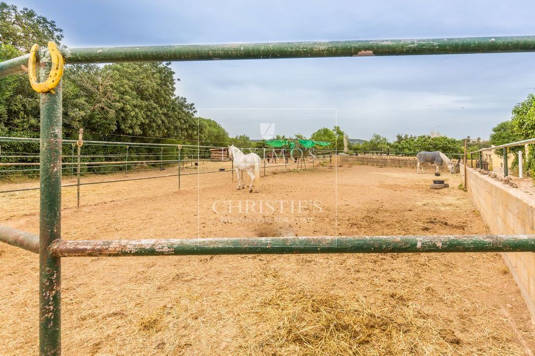 Loule ( S. Clemente) image thumbs 1