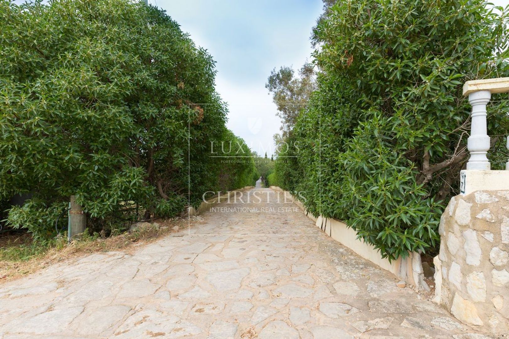 Loule ( S. Clemente) image 1