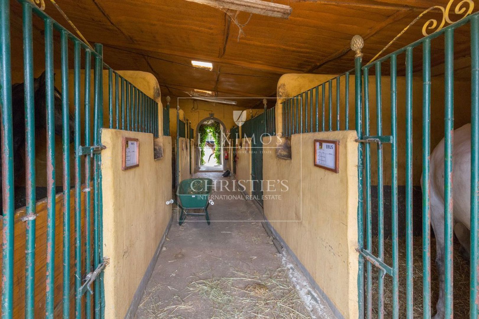 Loule ( S. Clemente) image 1