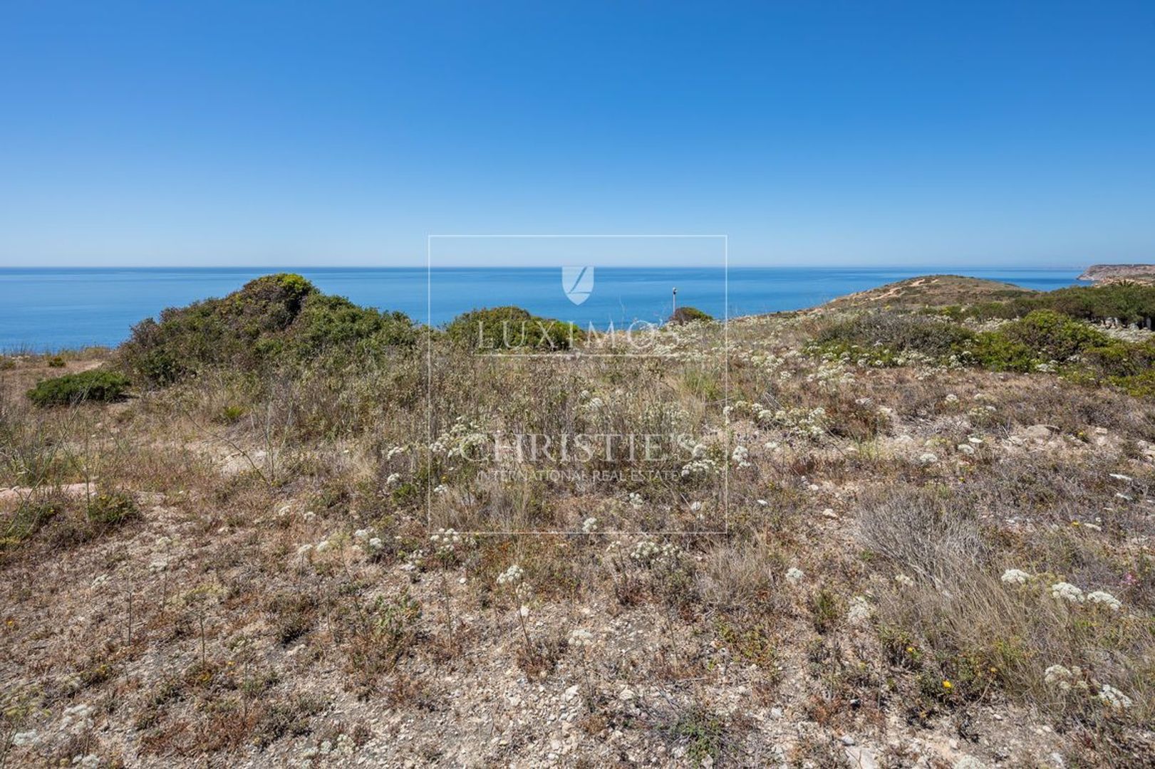 Luz image 1