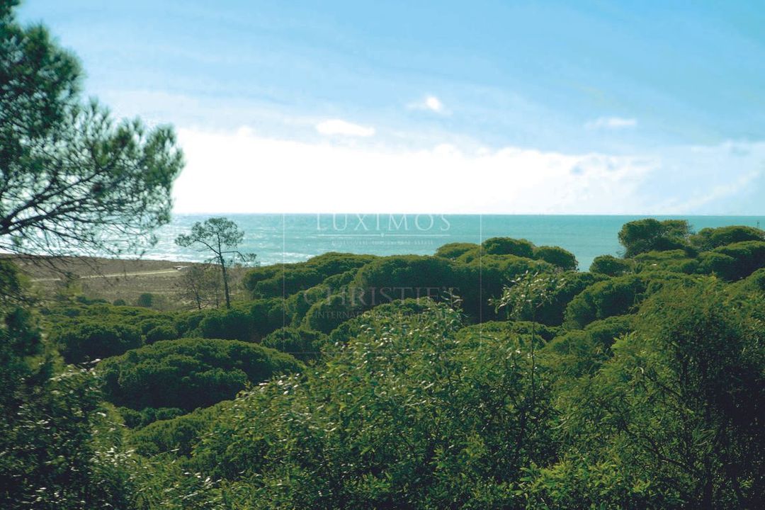 Vale do Lobo, Loule