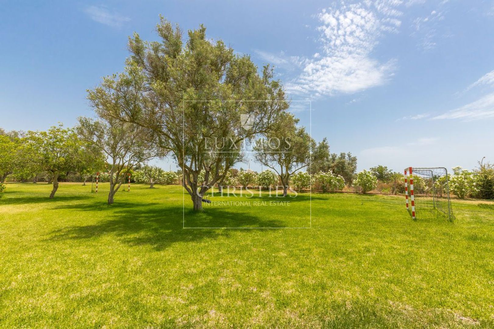 Vilamoura image 1