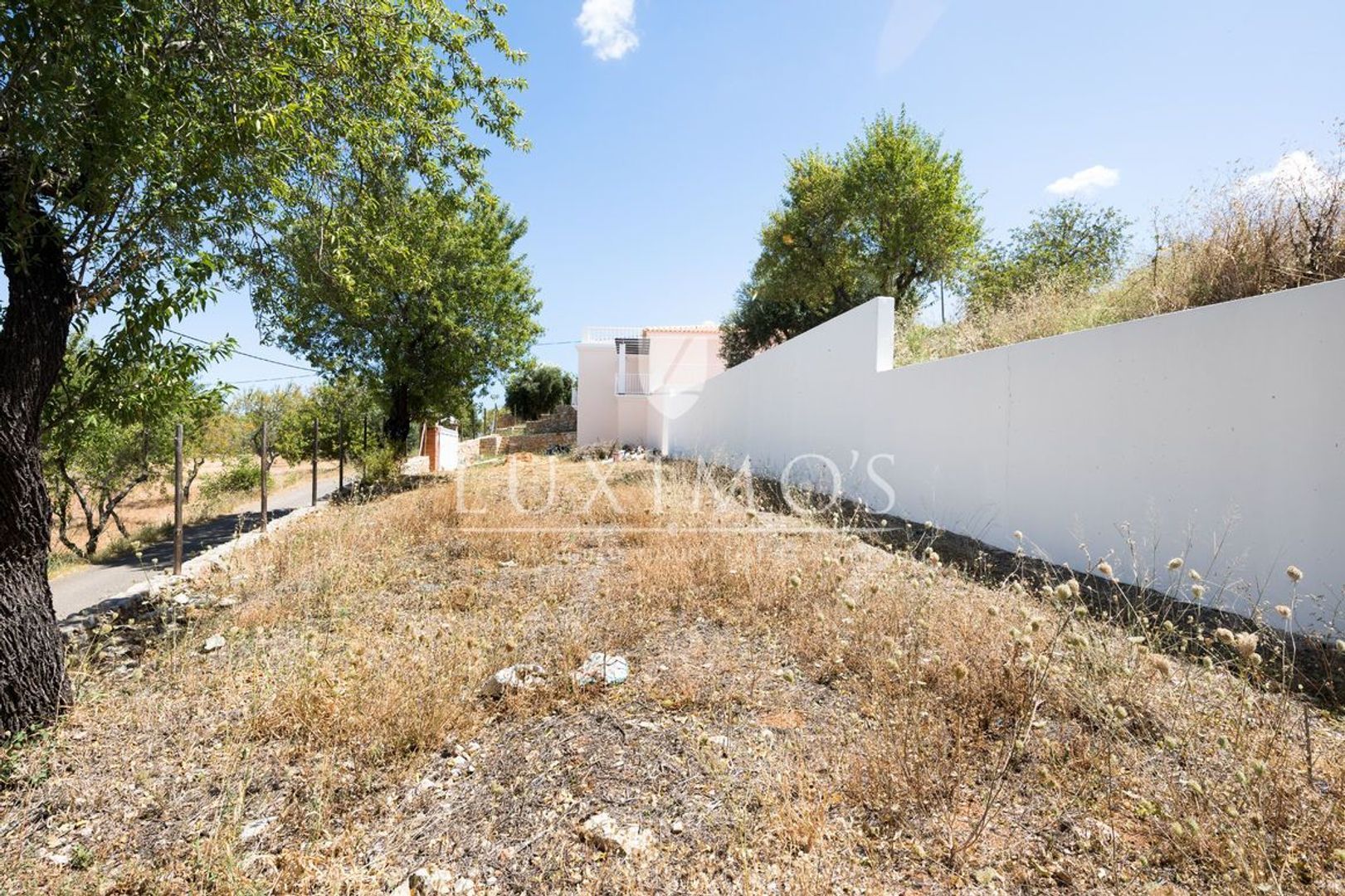 Paderne image 1