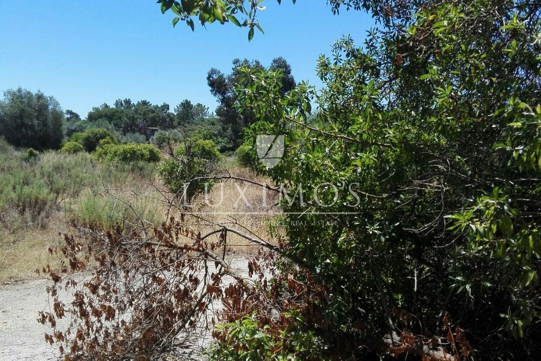 Quarteira image thumbs 1