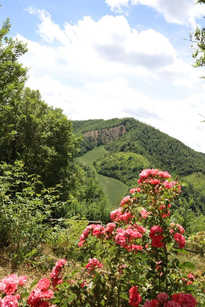 Umbrië, Italië, Pietralunga foto-45