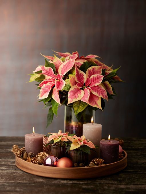 Kerstshopping