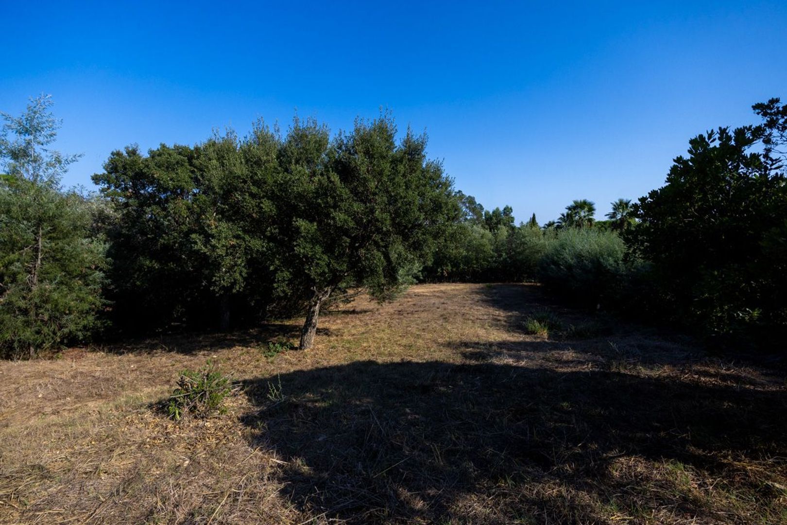 Grimaud, Grimaud foto-11