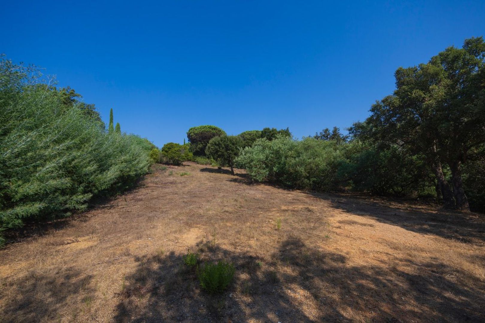 Grimaud, Grimaud foto-10