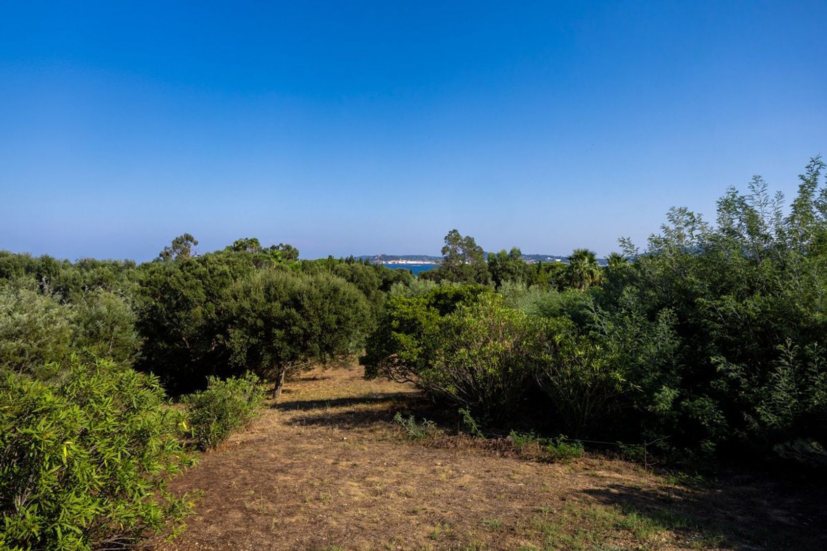 Grimaud, Grimaud foto-12