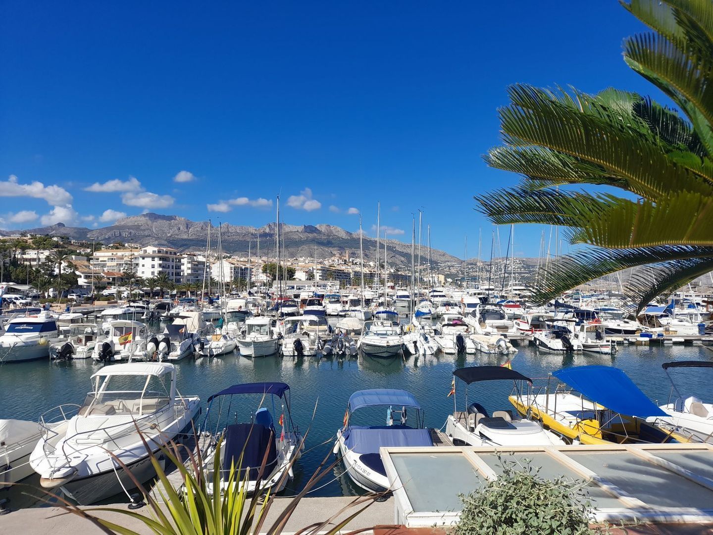 Altea La Olla, Altea foto-31