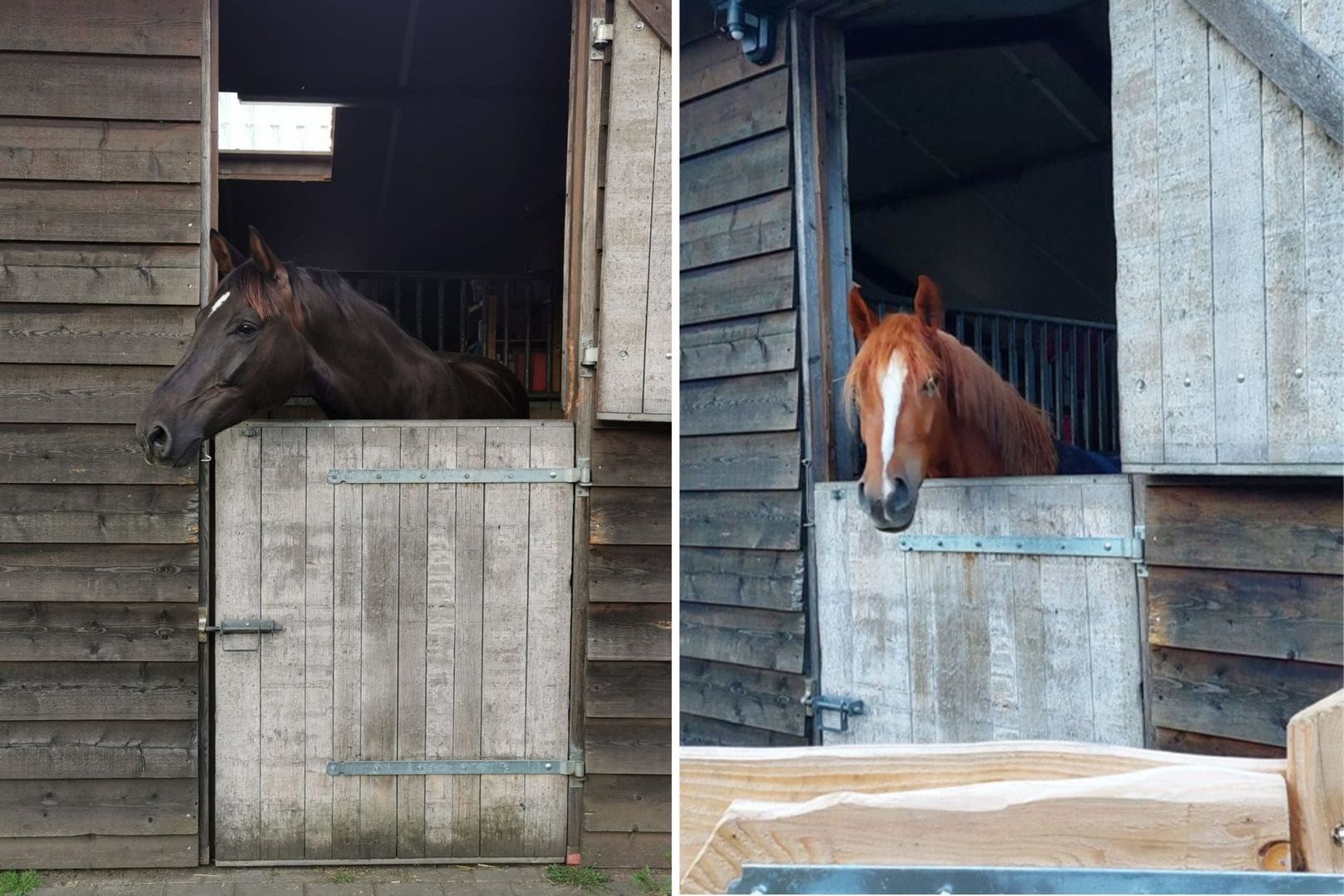 Batterinkweg 7, Ommen foto-51