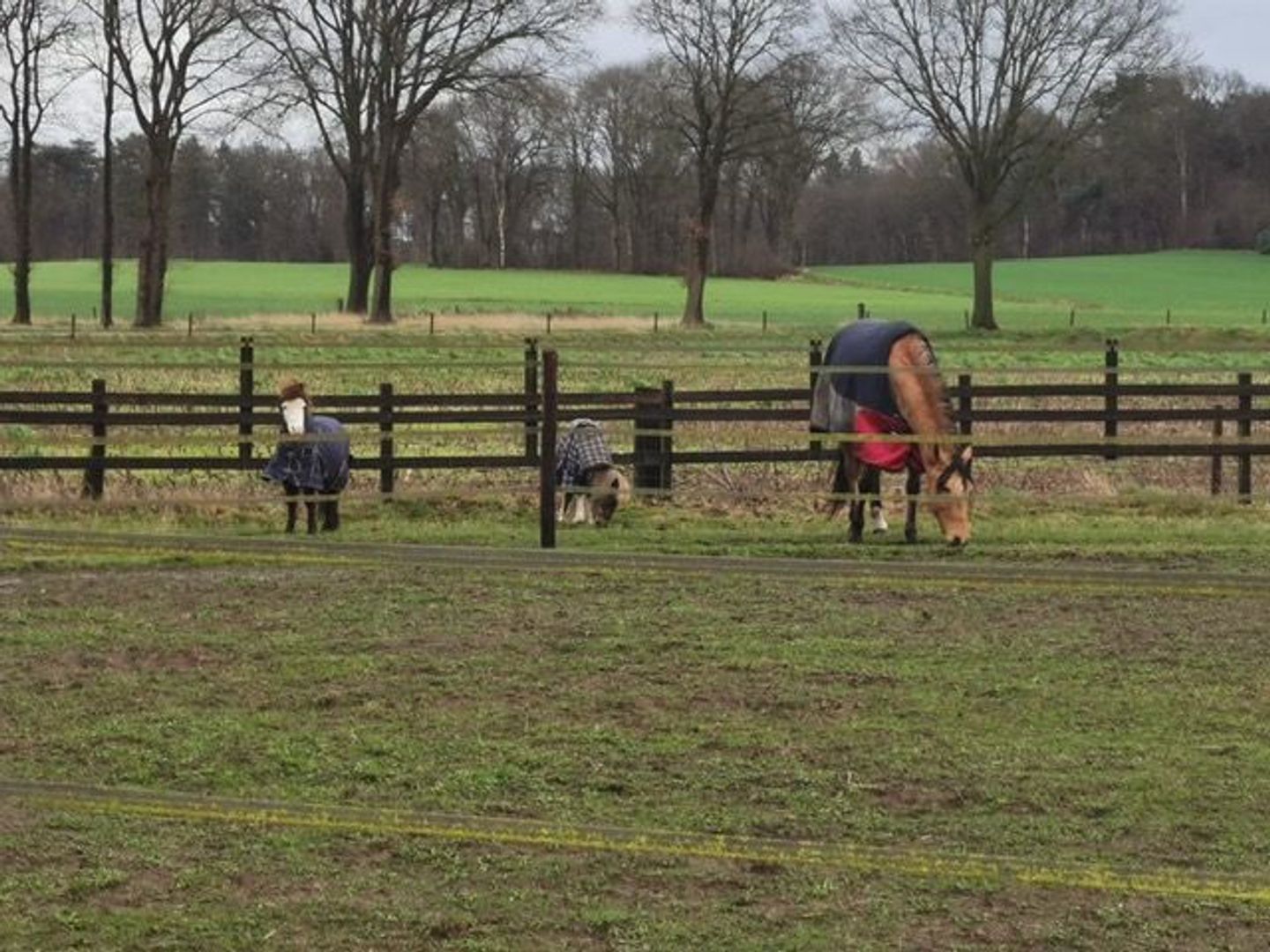 Batterinkweg 7, Ommen foto-54