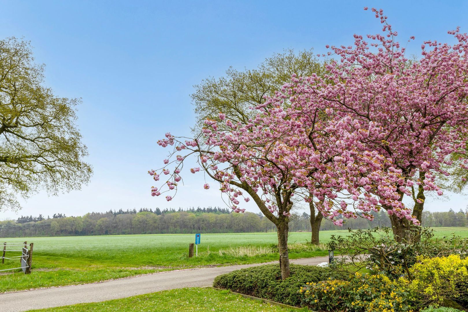 Batterinkweg 7, Ommen foto-74