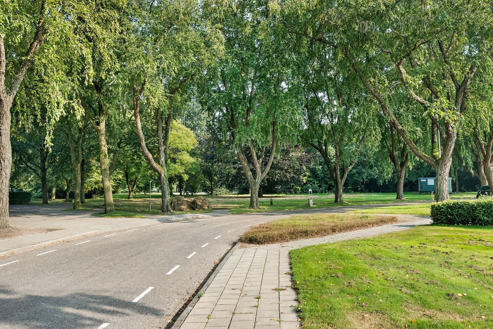 Burg.van Haersoltestraat 41, Nieuwleusen foto-47