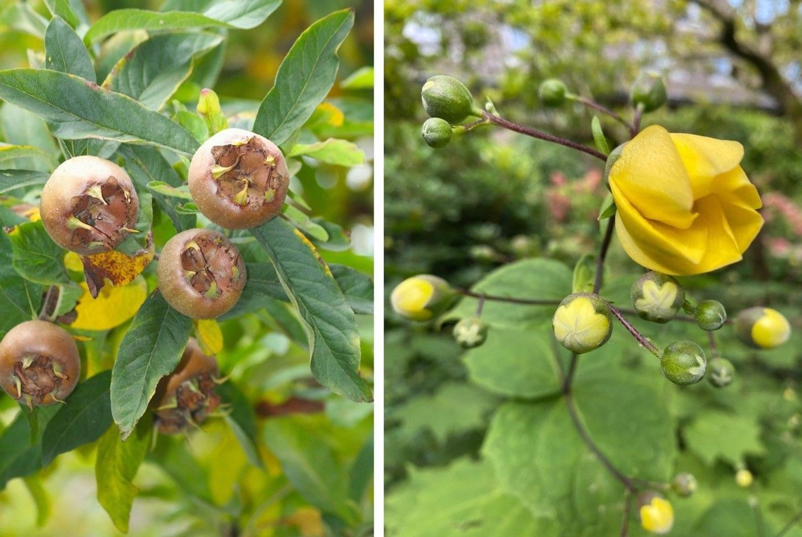 Burg.van Haersoltestraat 41, Nieuwleusen foto-41
