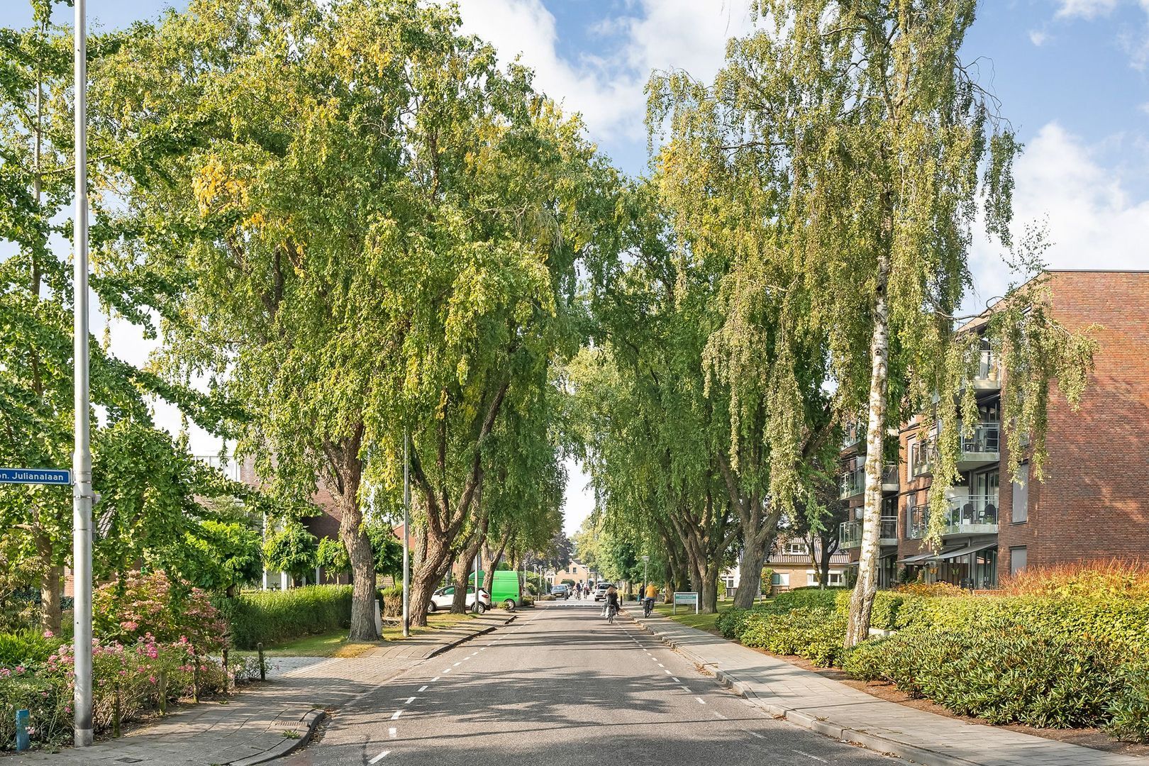Burg.van Haersoltestraat 41, Nieuwleusen foto-48