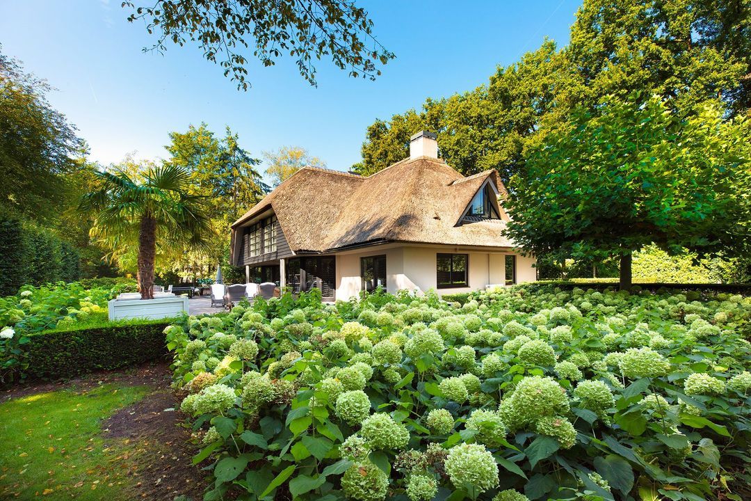 Agter Kampen 2 image thumbs 1