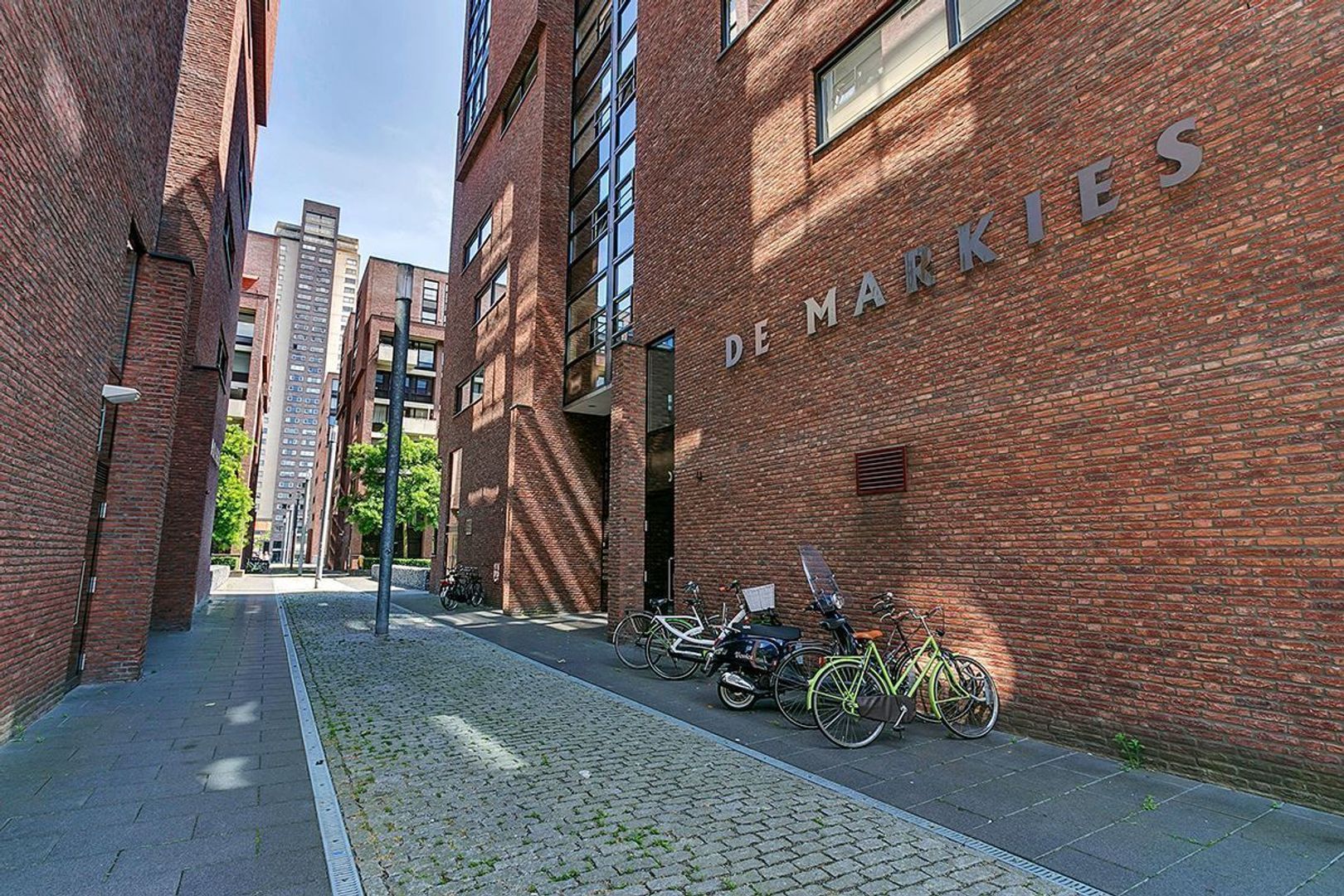 Lichtstraat, Eindhoven foto-21