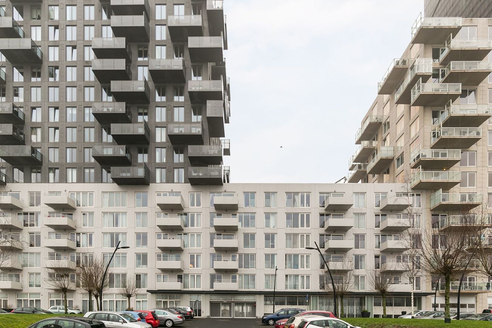 Hongerlandsedijk, Spijkenisse foto-1