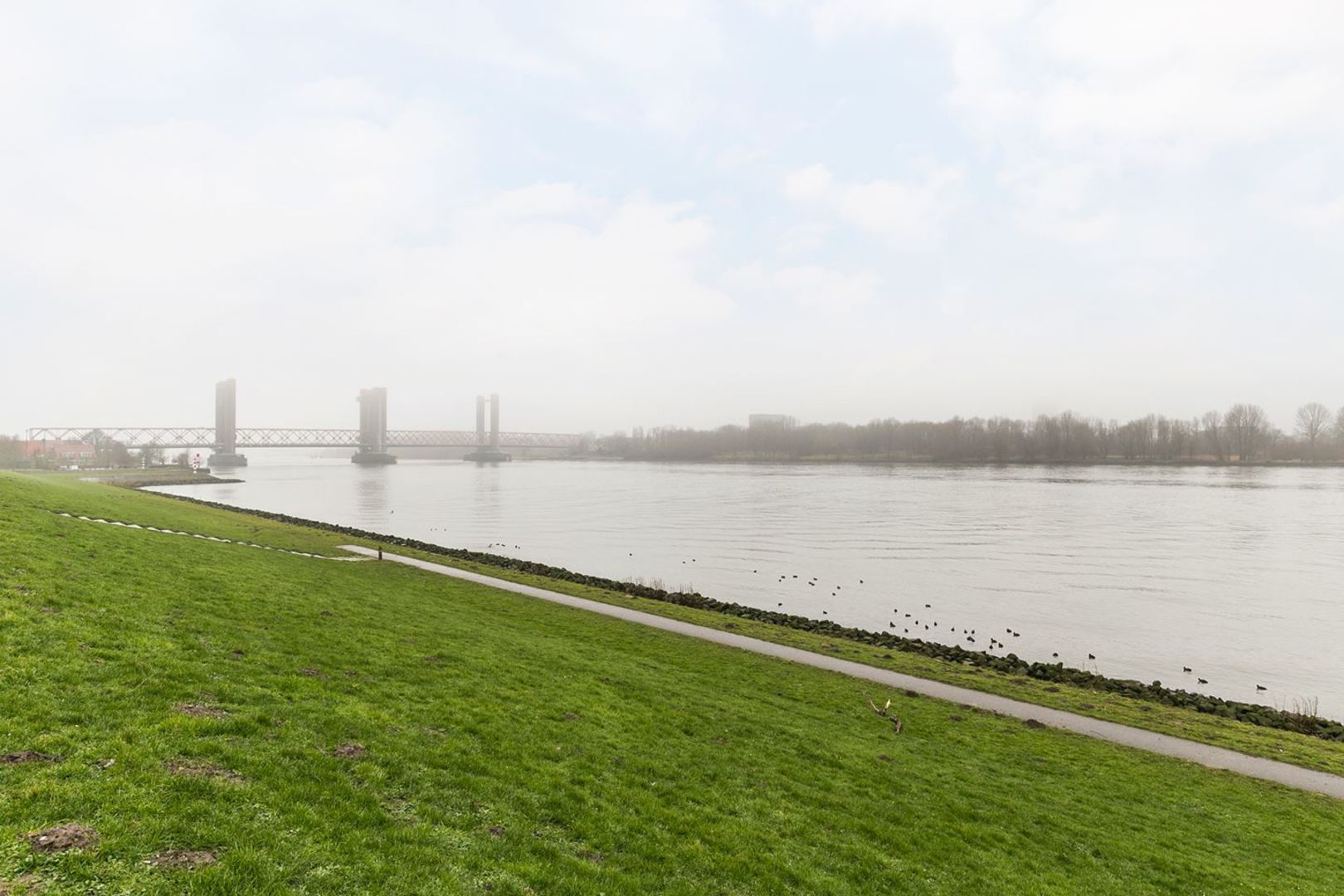 Hongerlandsedijk, Spijkenisse foto-22