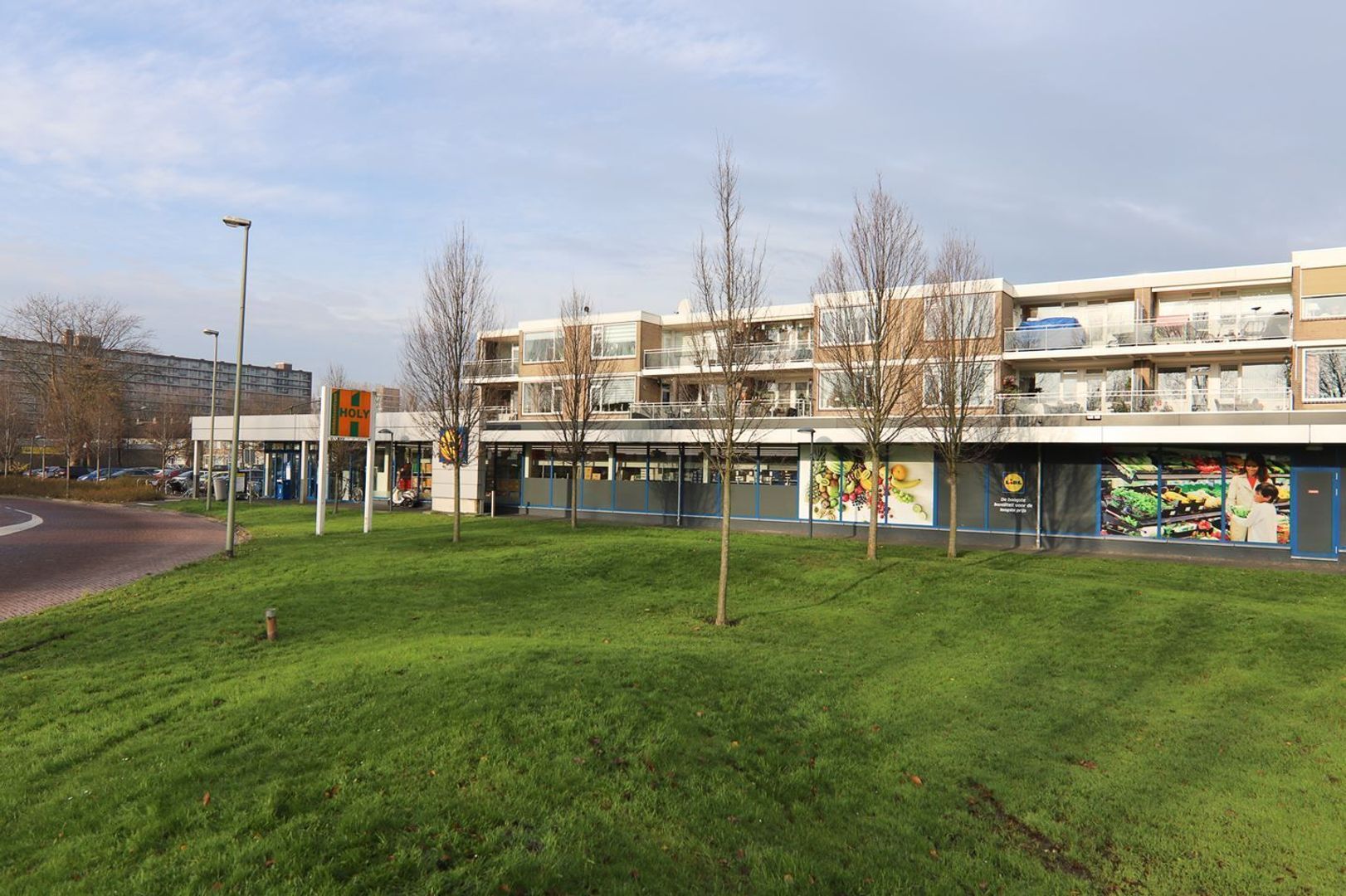 Kraanvogellaan, Vlaardingen foto-32