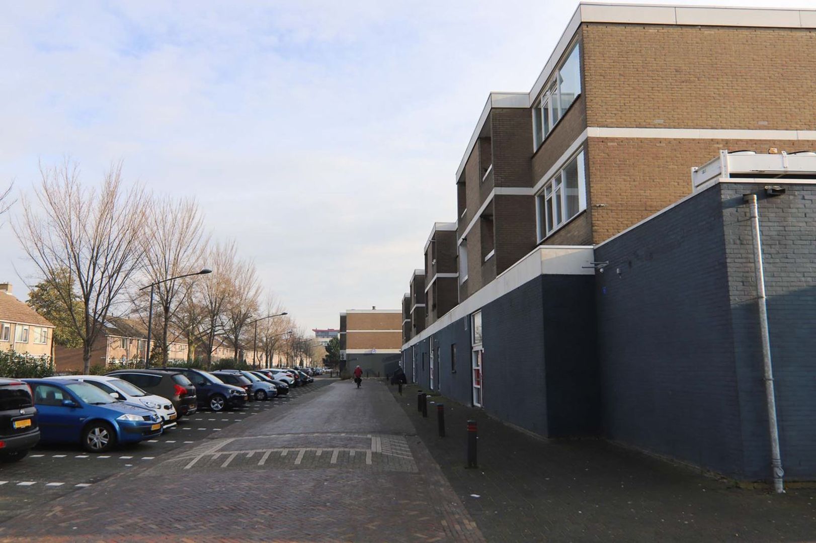 Kraanvogellaan, Vlaardingen foto-33