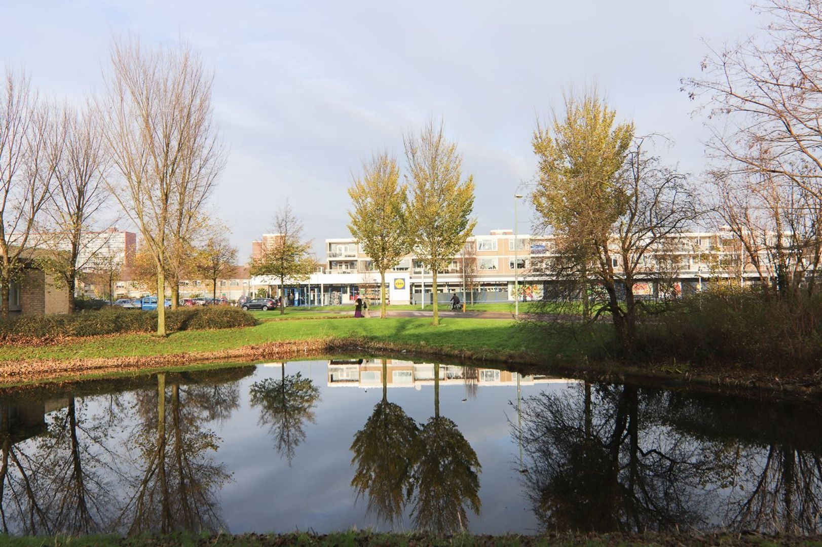 Kraanvogellaan, Vlaardingen foto-29